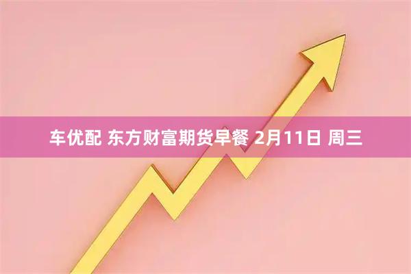 车优配 东方财富期货早餐 2月11日 周三