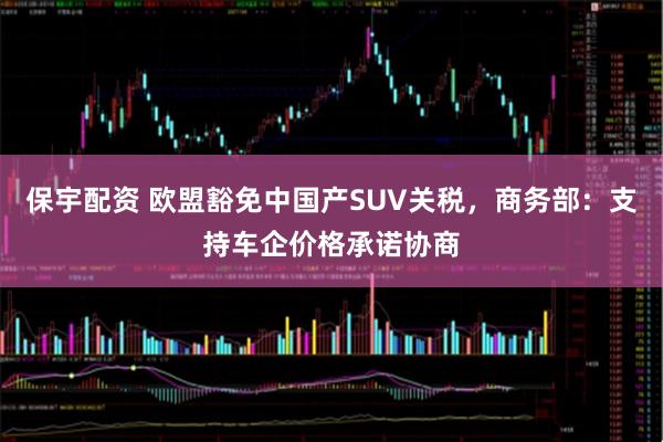 保宇配资 欧盟豁免中国产SUV关税，商务部：支持车企价格承诺协商